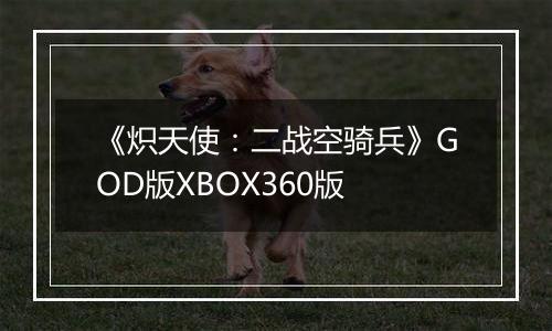 《炽天使：二战空骑兵》GOD版XBOX360版
