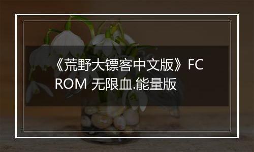 《荒野大镖客中文版》FC ROM 无限血.能量版