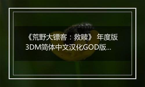 《荒野大镖客：救赎》 年度版 3DM简体中文汉化GOD版XBOX360版