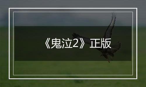 《鬼泣2》正版