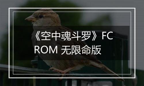 《空中魂斗罗》FC ROM 无限命版