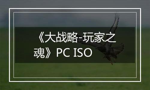 《大战略-玩家之魂》PC ISO
