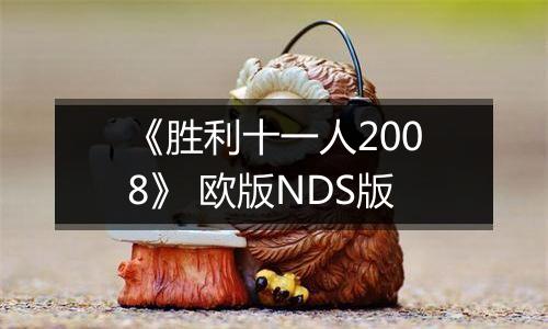 《胜利十一人2008》 欧版NDS版