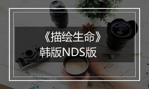 《描绘生命》 韩版NDS版