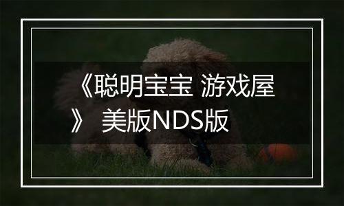 《聪明宝宝 游戏屋》 美版NDS版