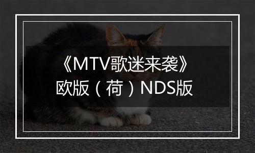 《MTV歌迷来袭》 欧版（荷）NDS版