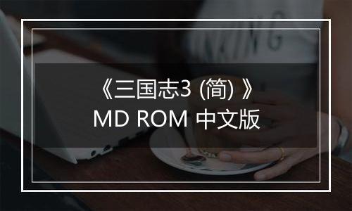 《三国志3 (简) 》MD ROM 中文版