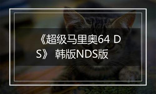 《超级马里奥64 DS》 韩版NDS版