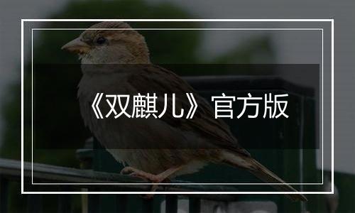 《双麒儿》官方版