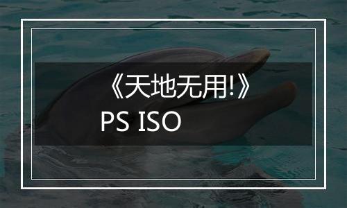 《天地无用!》PS ISO