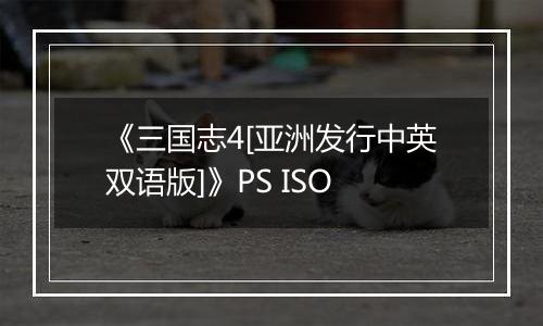 《三国志4[亚洲发行中英双语版]》PS ISO