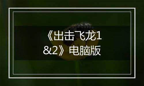《出击飞龙1&2》电脑版