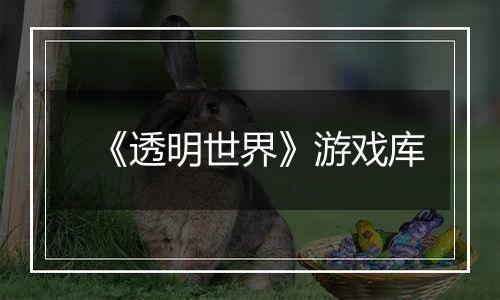 《透明世界》游戏库