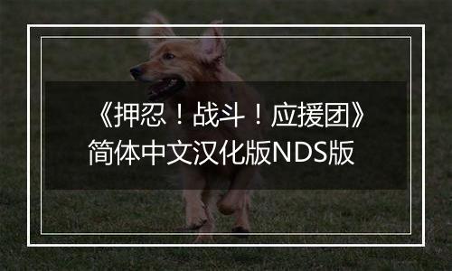 《押忍！战斗！应援团》简体中文汉化版NDS版
