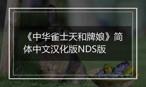 《中华雀士天和牌娘》简体中文汉化版NDS版