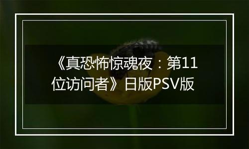 《真恐怖惊魂夜：第11位访问者》日版PSV版