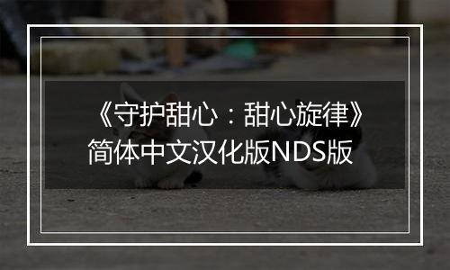 《守护甜心：甜心旋律》简体中文汉化版NDS版