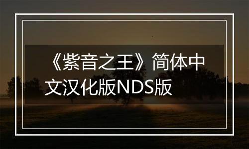 《紫音之王》简体中文汉化版NDS版