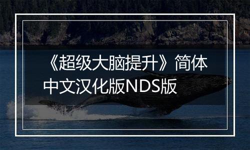 《超级大脑提升》简体中文汉化版NDS版