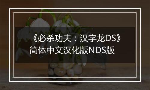 《必杀功夫：汉字龙DS》简体中文汉化版NDS版