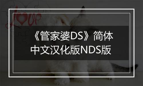 《管家婆DS》简体中文汉化版NDS版